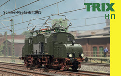Titelbeeld folder Zomernieuws 2026